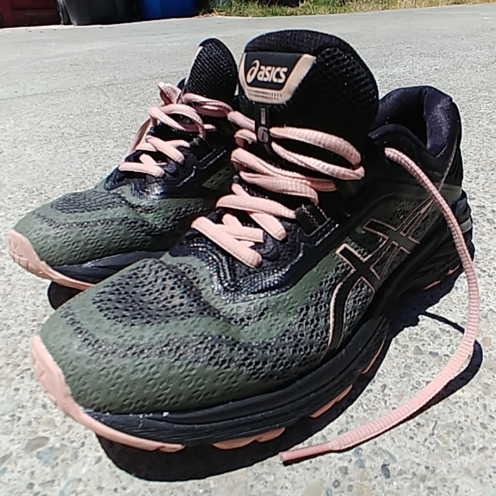 Asics GT-2000 running shoes (trail)